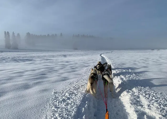 Vent_du_nord * Tramelan